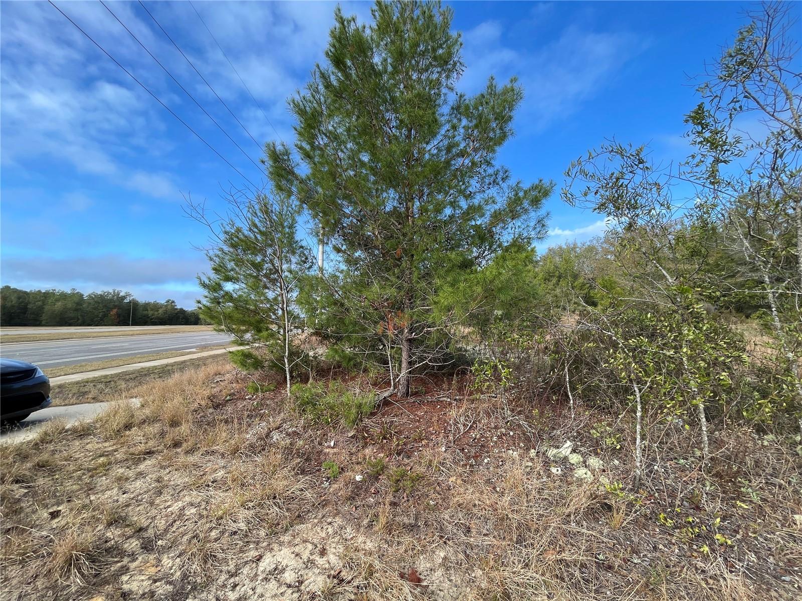 STATE ROAD 20, INTERLACHEN, FL, 32148