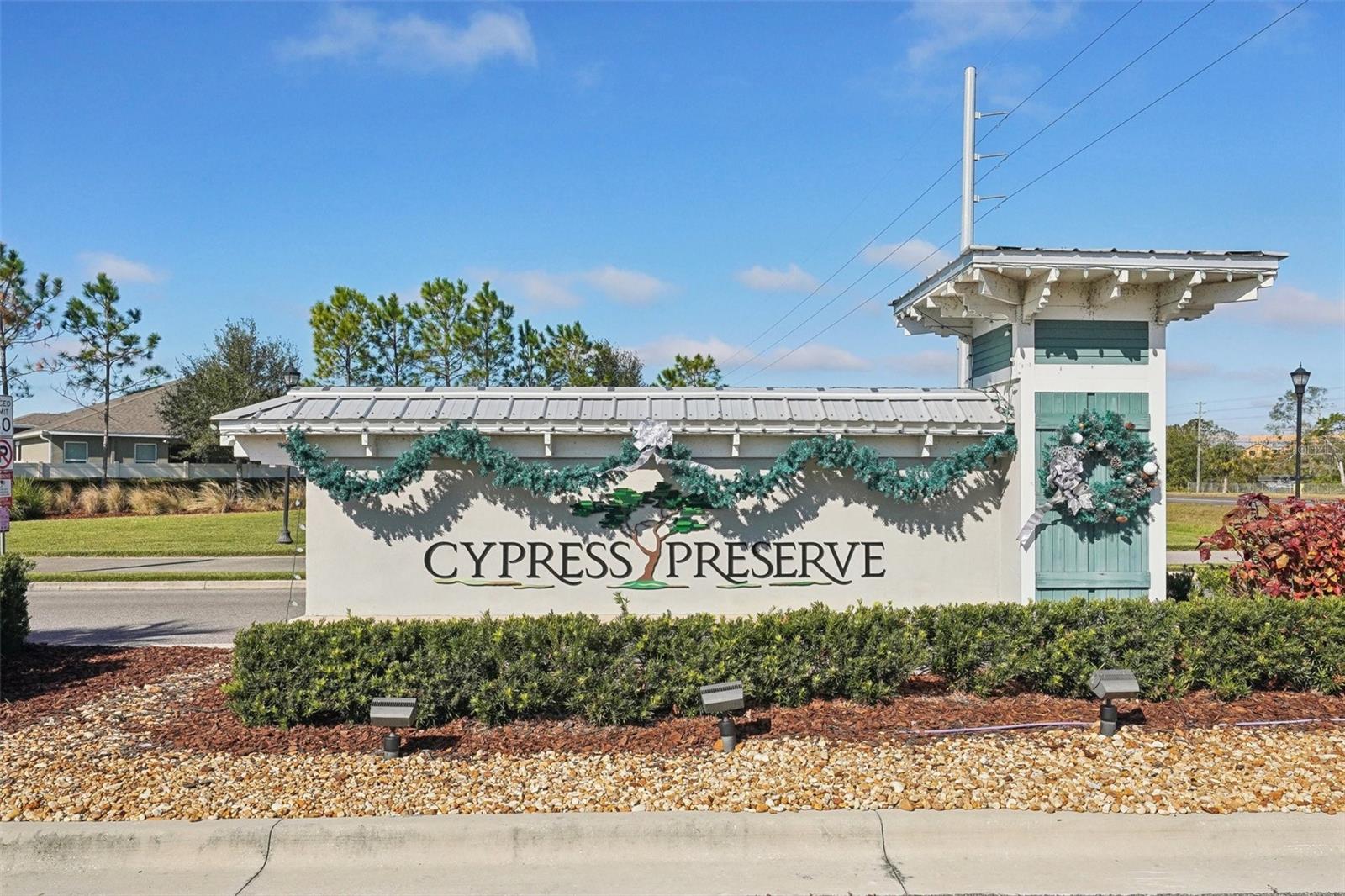10347 HERON HIDEAWAY LOOP, LAND O LAKES, FL, 34638
