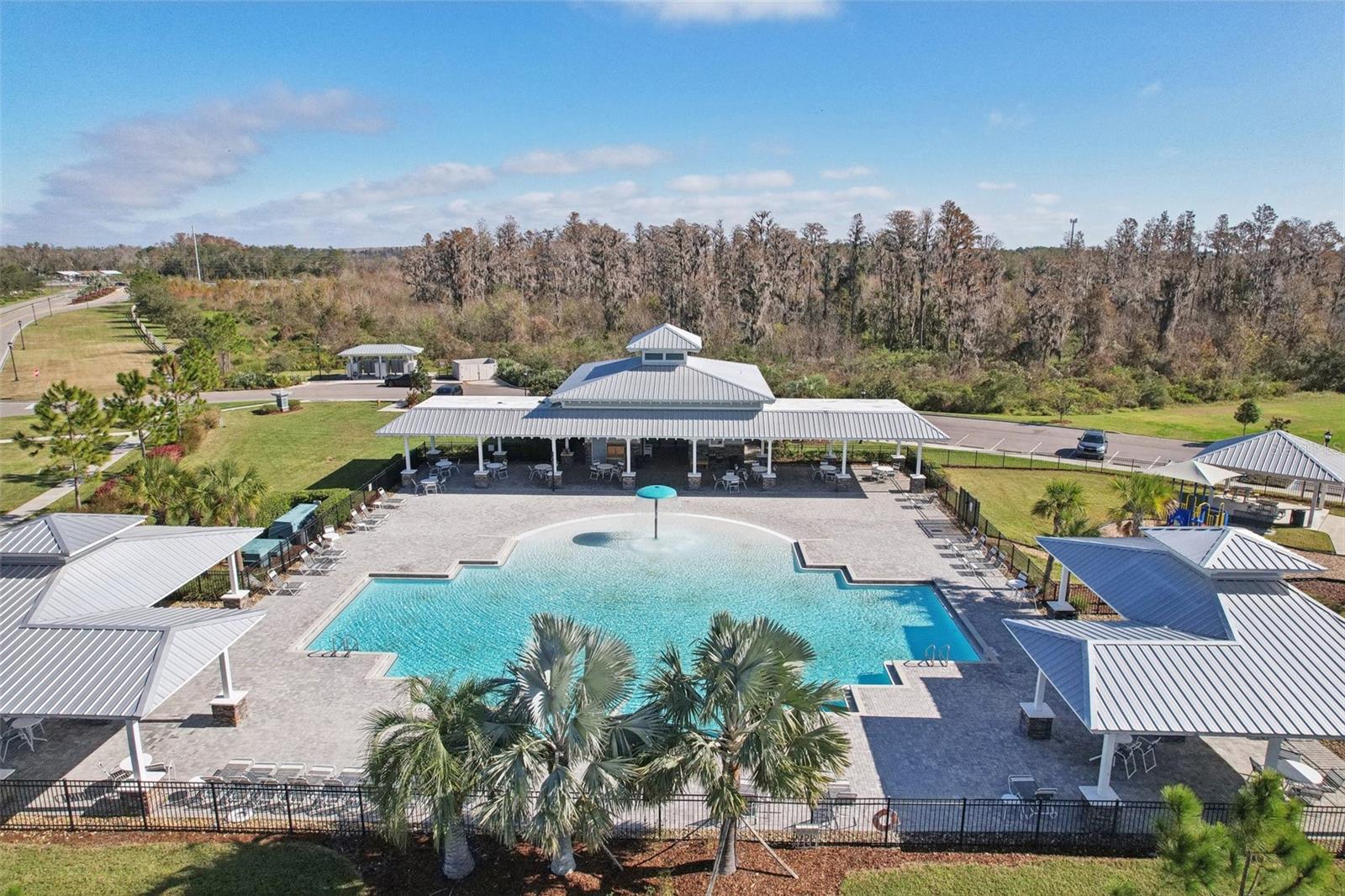 10347 HERON HIDEAWAY LOOP, LAND O LAKES, FL, 34638