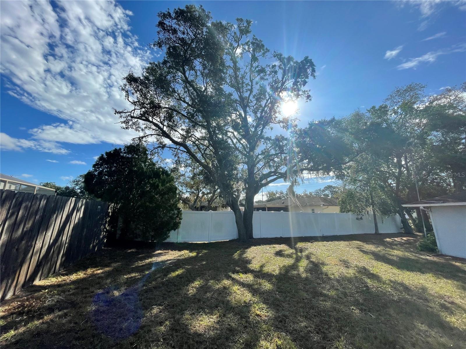 11556 LINDEN DR, SPRING HILL, FL, 34608