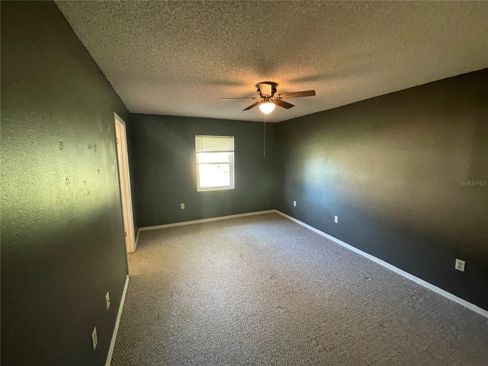 11556 LINDEN DR, SPRING HILL, FL, 34608