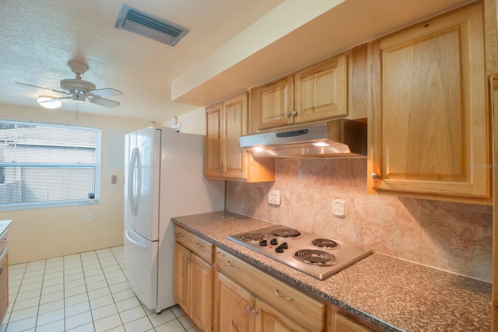 1069 RUSHMORE DR, HOLIDAY, FL, 34690
