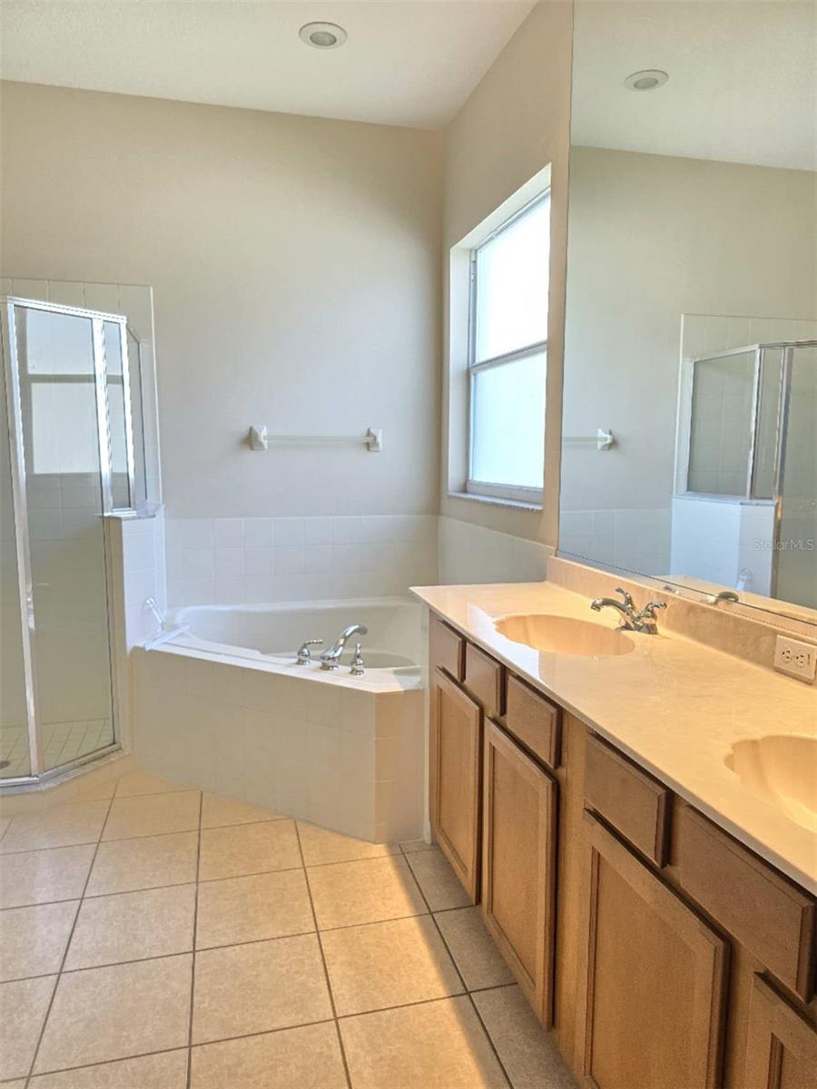 13220 ZORI LN, WINDERMERE, FL, 34786