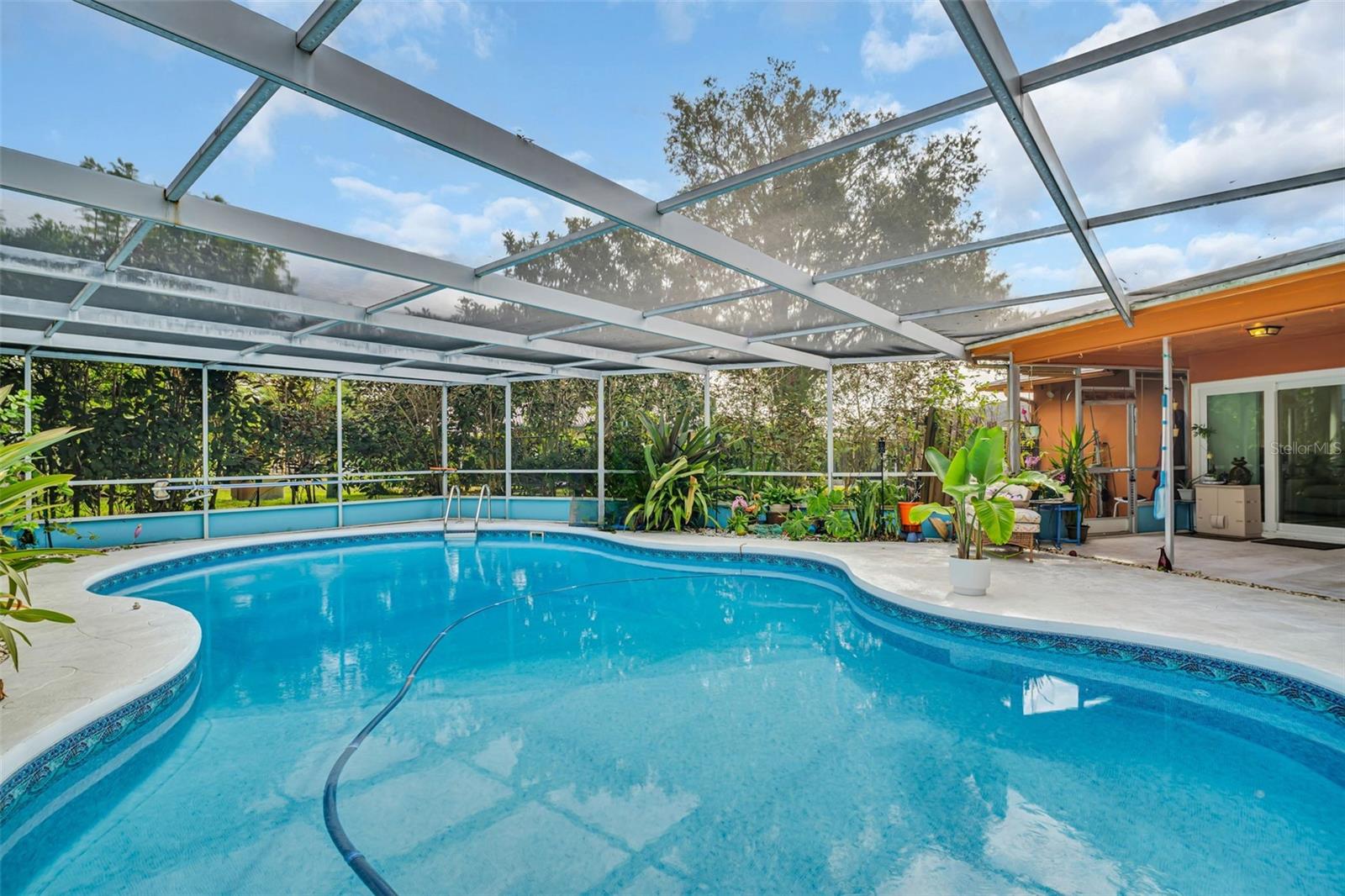 1622 WHITHORN PL, PALM HARBOR, FL, 34684