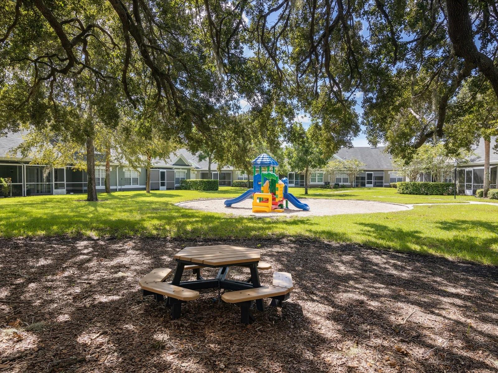 3653 KINGS RD #102, PALM HARBOR, FL, 34685
