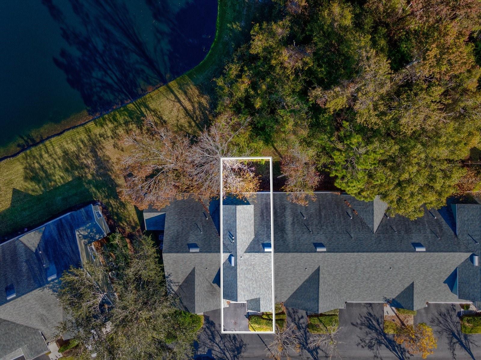 3653 KINGS RD #102, PALM HARBOR, FL, 34685