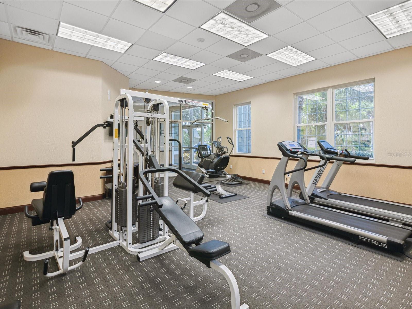 3653 KINGS RD #102, PALM HARBOR, FL, 34685