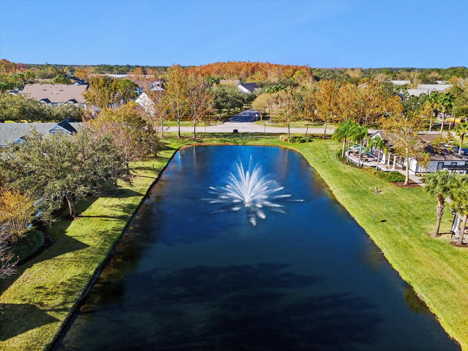 3653 KINGS RD #102, PALM HARBOR, FL, 34685