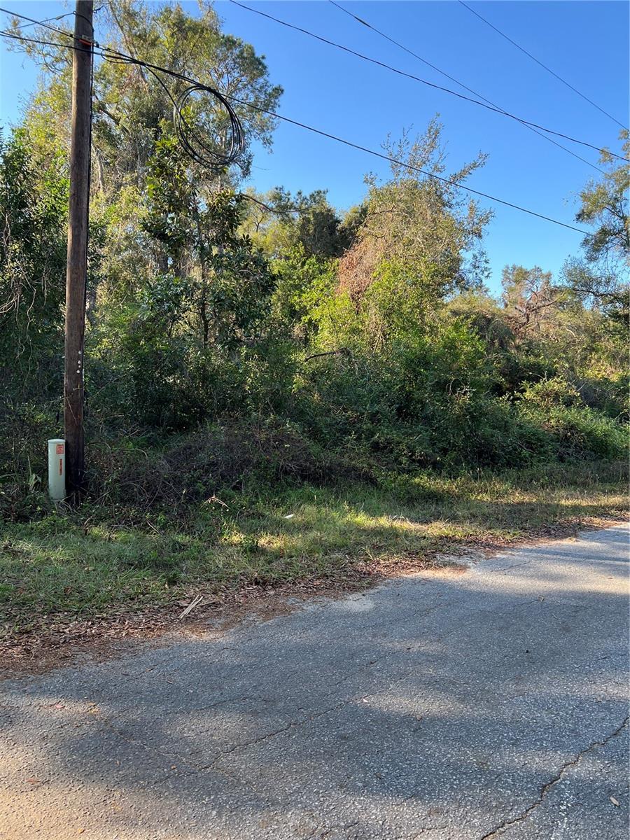 CR 690, WEBSTER, FL, 33597