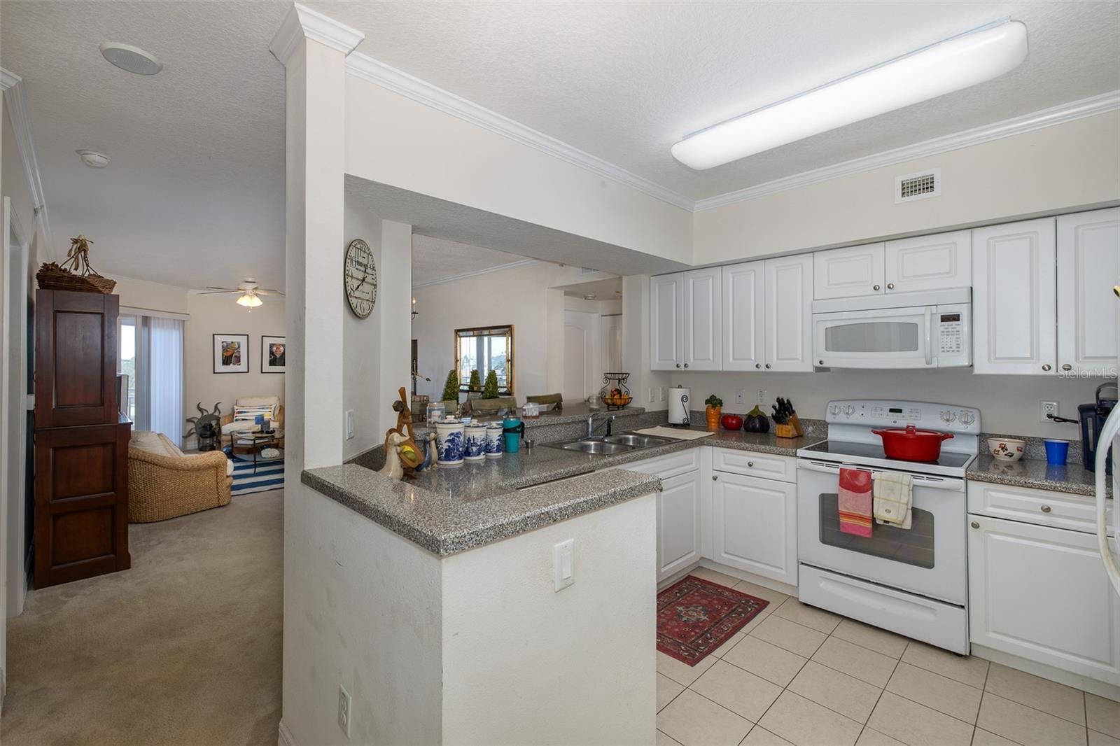 4516 SEAGULL DR #413, NEW PORT RICHEY, FL, 34652