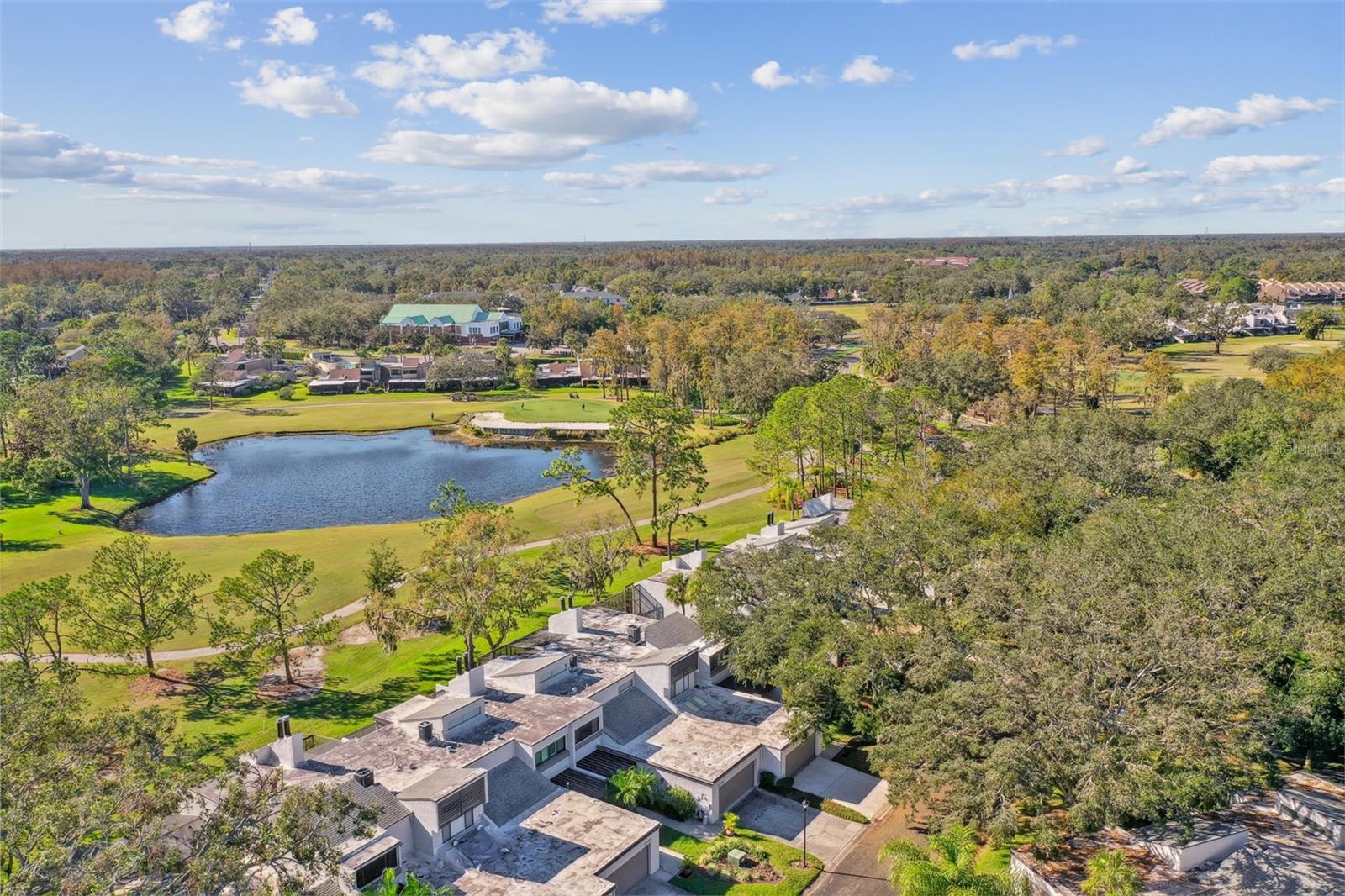 4220 FAIRWAY RUN #0, TAMPA, FL, 33618