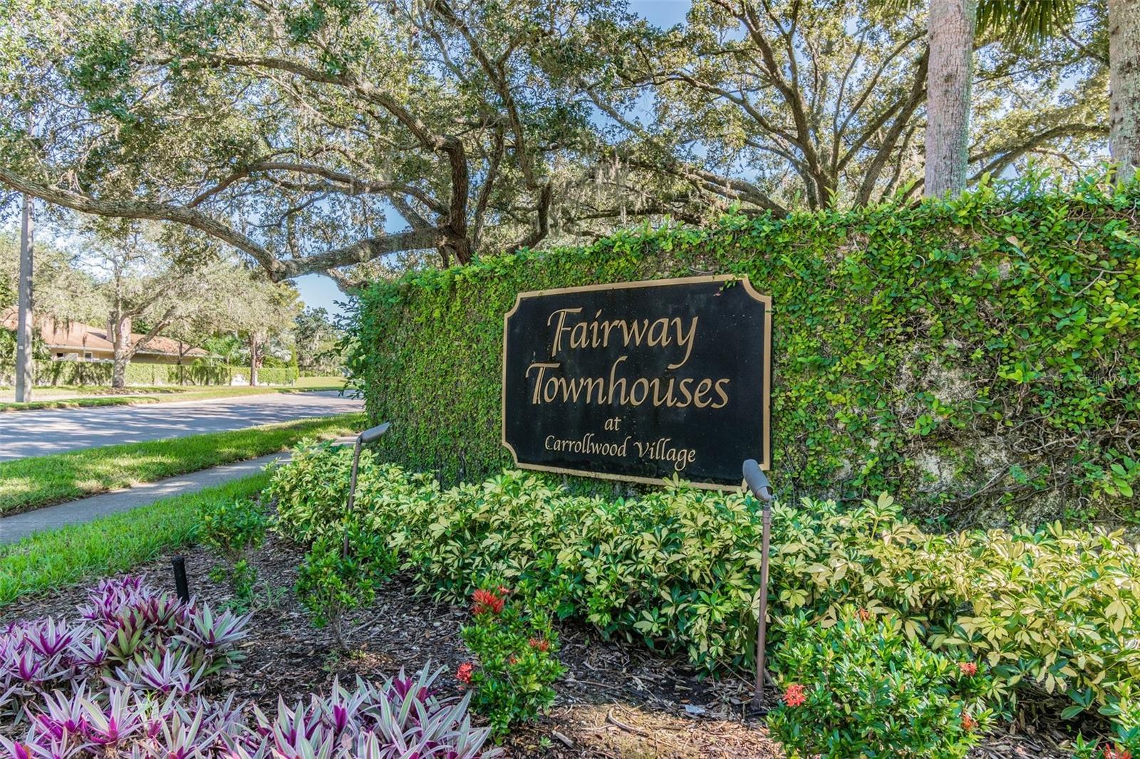 4220 FAIRWAY RUN #0, TAMPA, FL, 33618