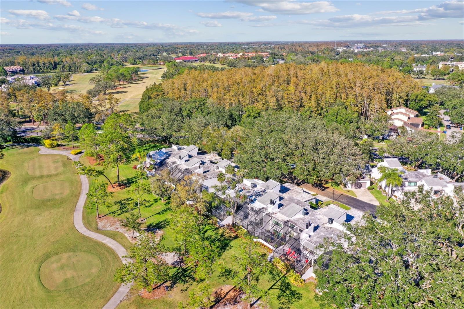 4220 FAIRWAY RUN #0, TAMPA, FL, 33618