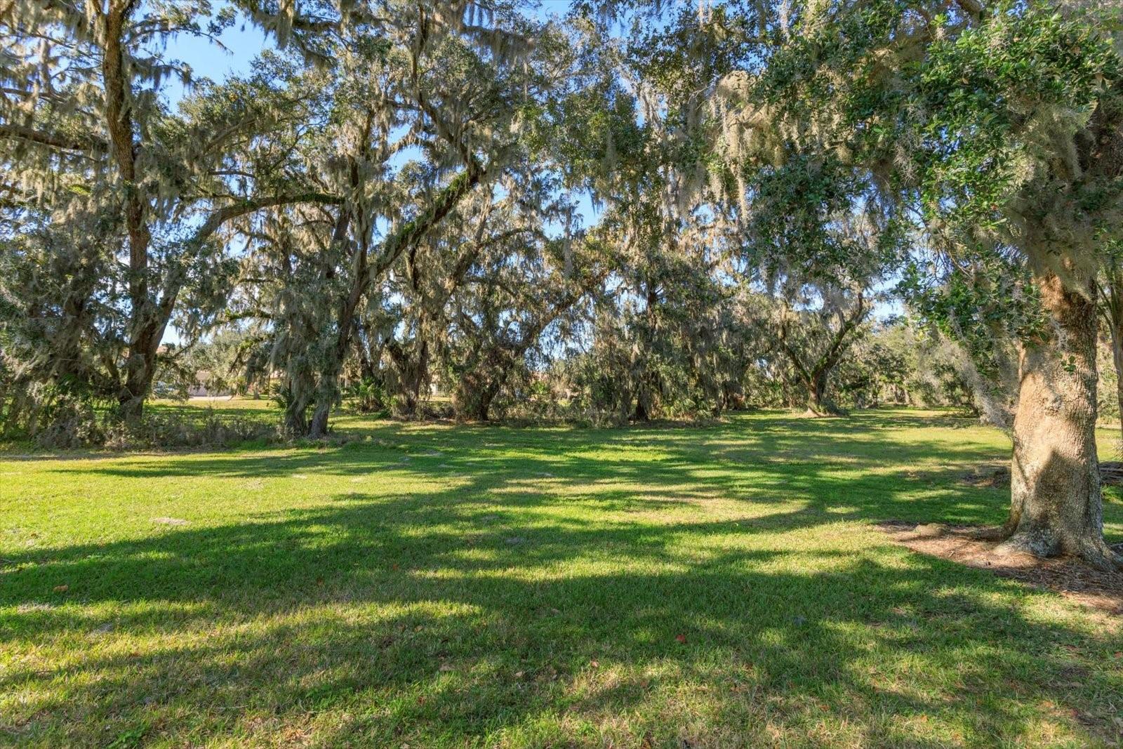 1441 BEACON DR, KISSIMMEE, FL, 34746