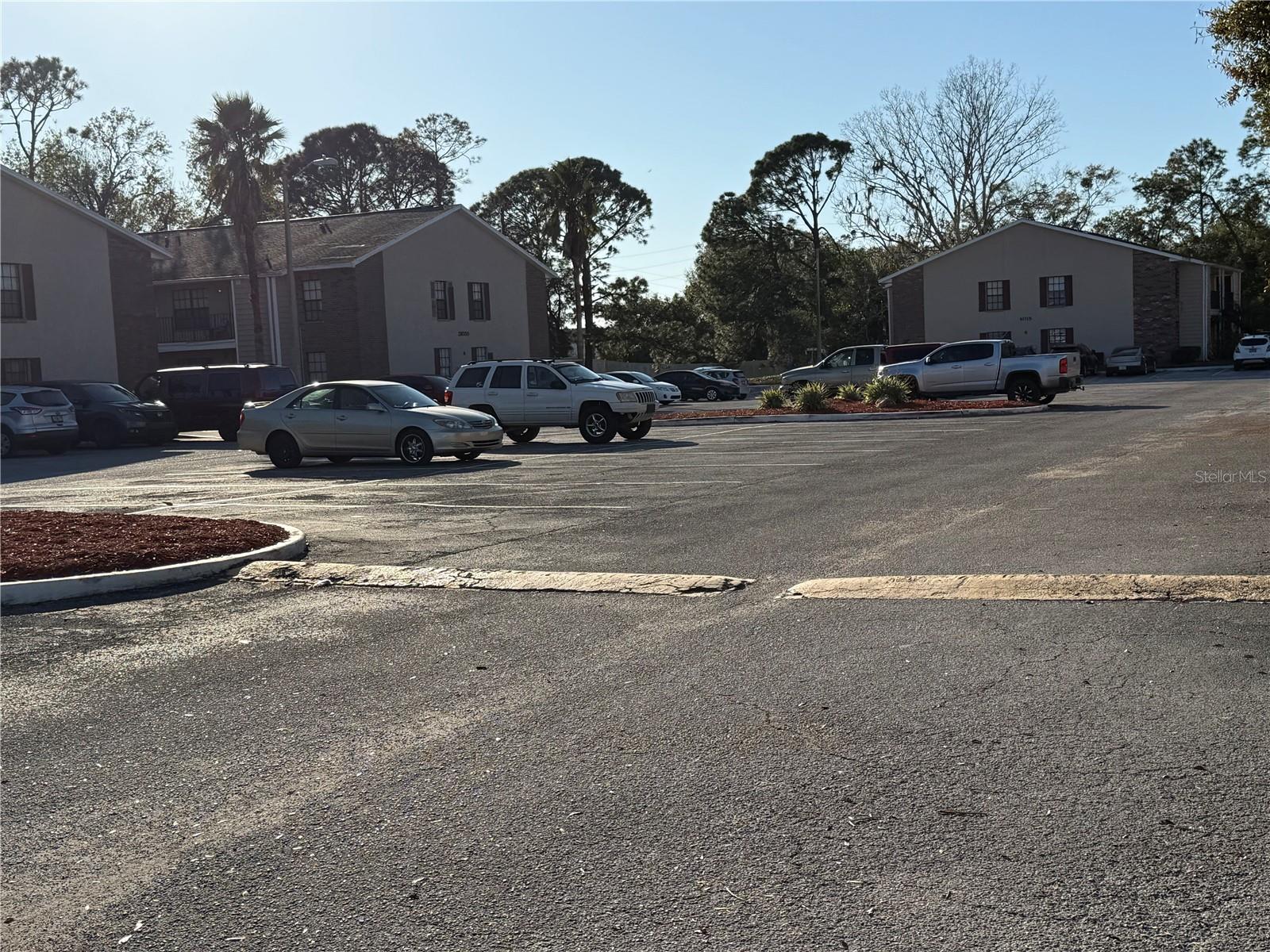21038 VOYAGER BLVD #4, LAND O LAKES, FL, 34638