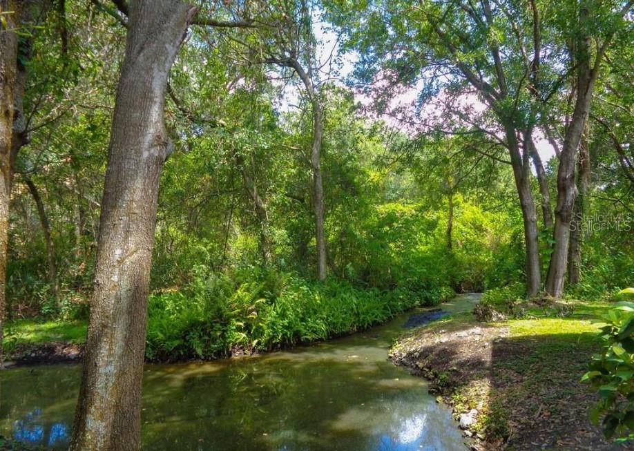 8630 MALLARD RESERVE DR #102, TAMPA, FL, 33614