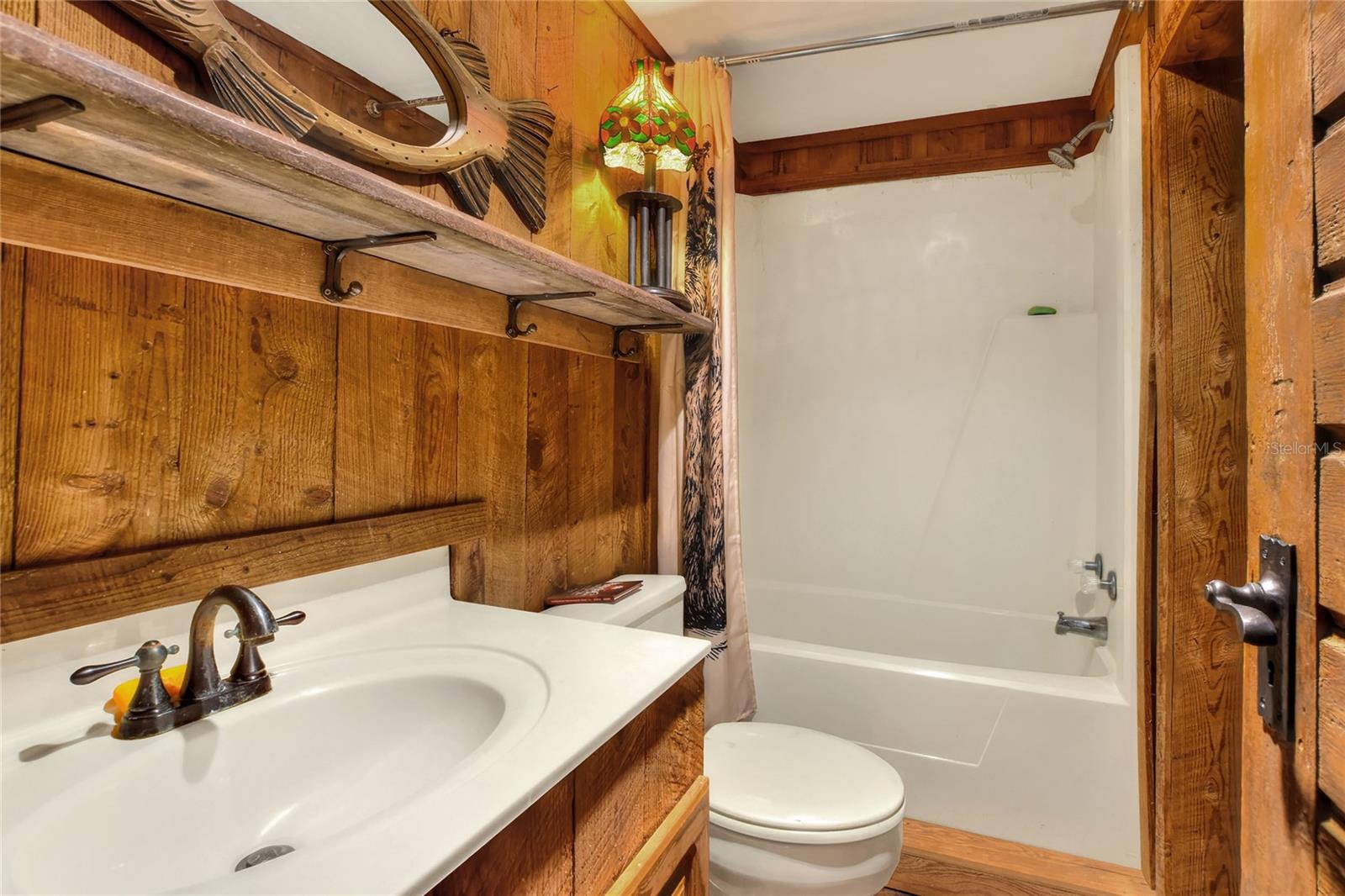 24120 MINK RD, ASTOR, FL, 32102