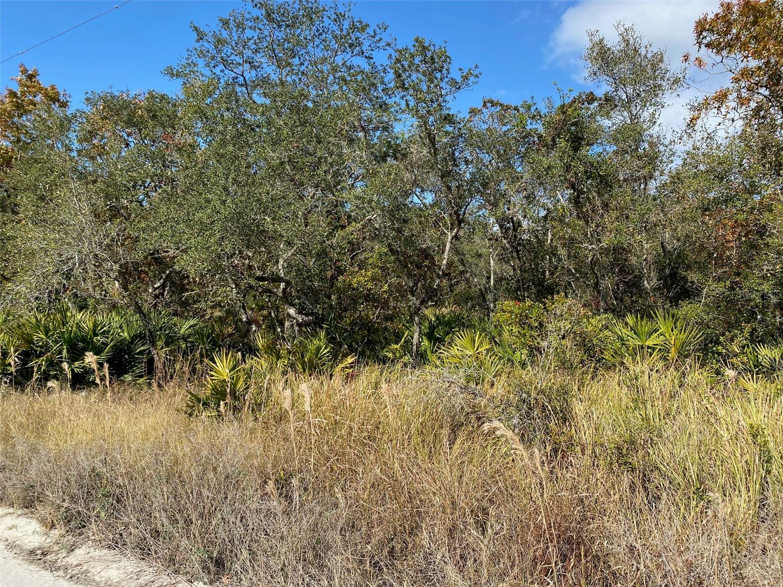 551 TURKEY OAK TRL, FROSTPROOF, FL, 33843