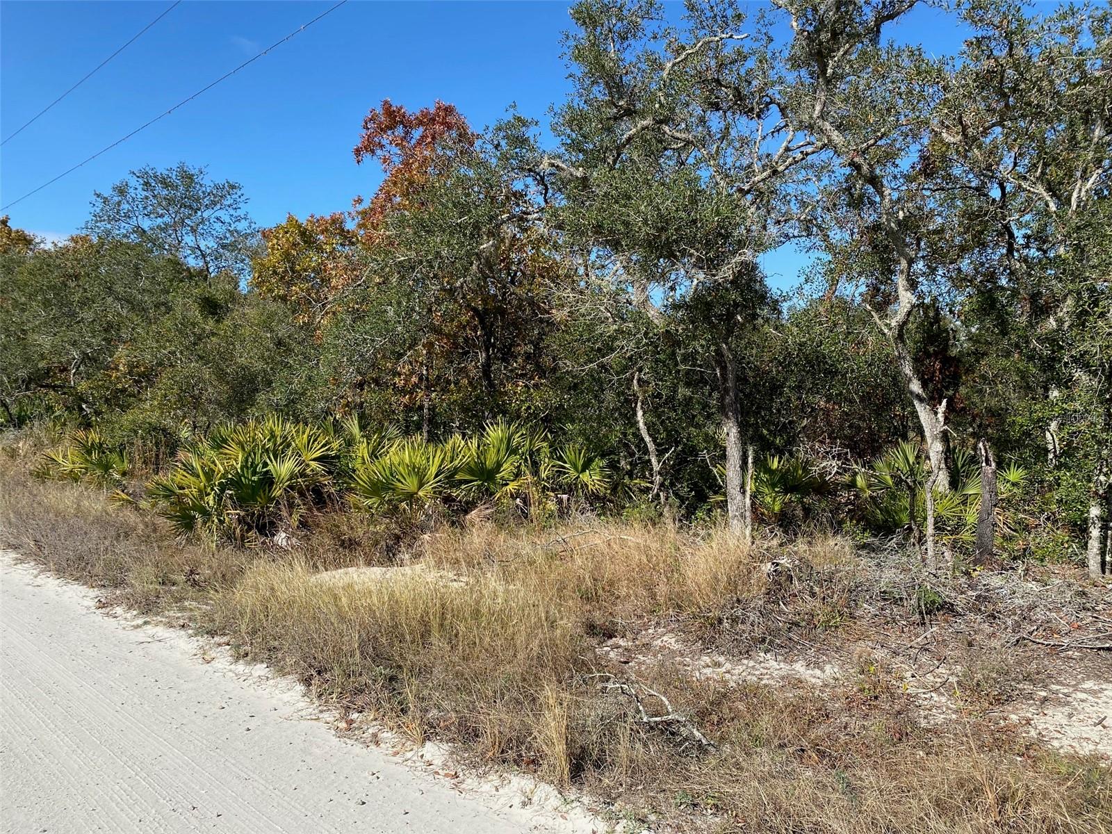 551 TURKEY OAK TRL, FROSTPROOF, FL, 33843