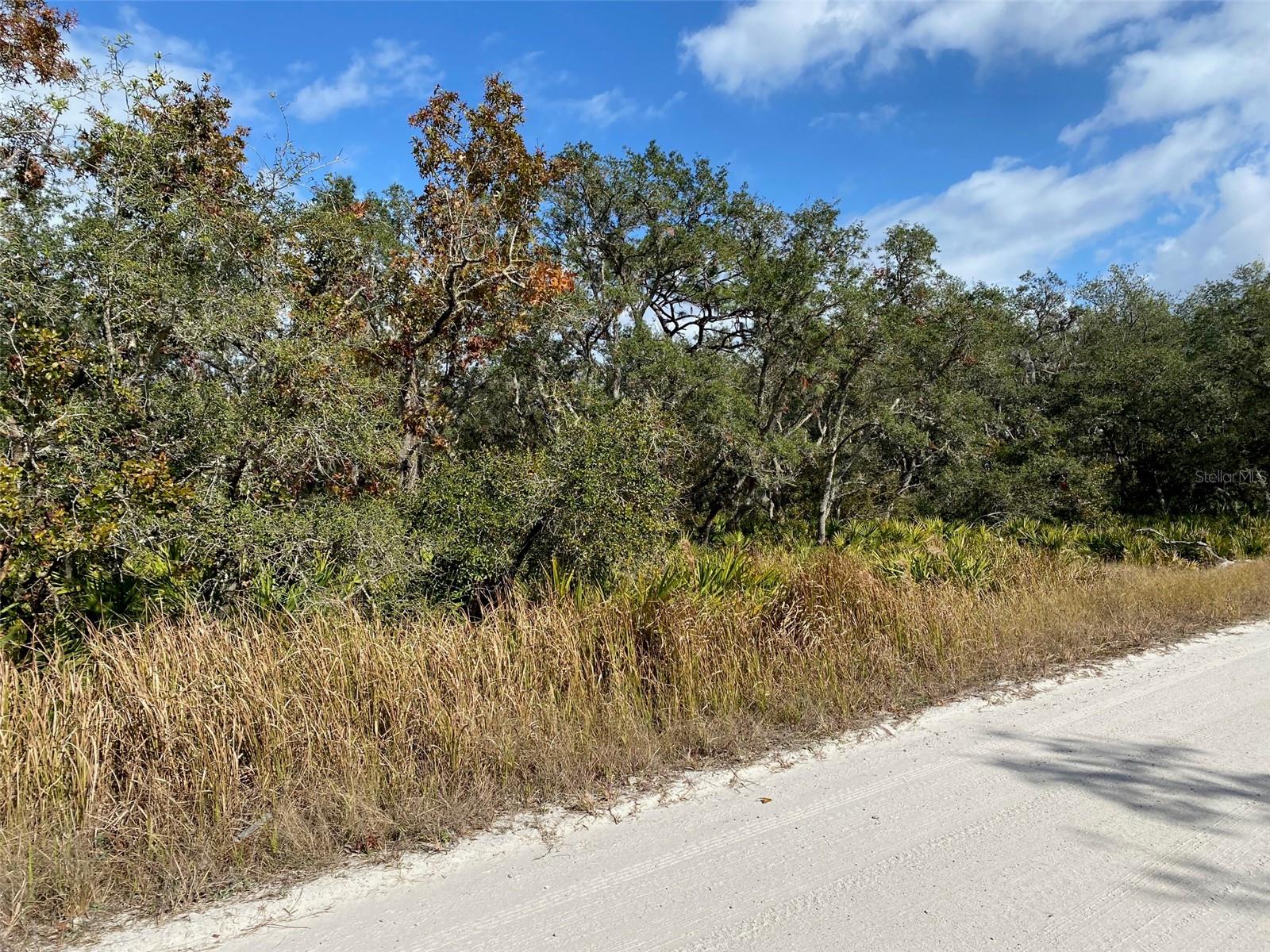 551 TURKEY OAK TRL, FROSTPROOF, FL, 33843