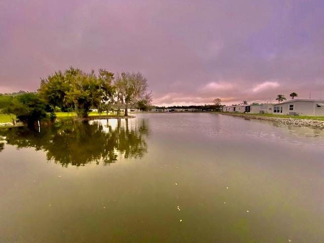 10811 FREEDOM DR, PORT RICHEY, FL, 34668