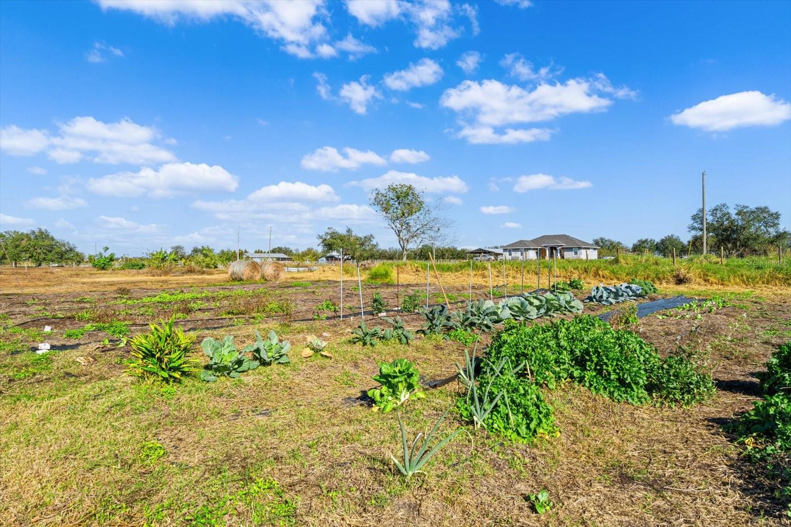 14900 COKER GULLY RD, MYAKKA CITY, FL, 34251