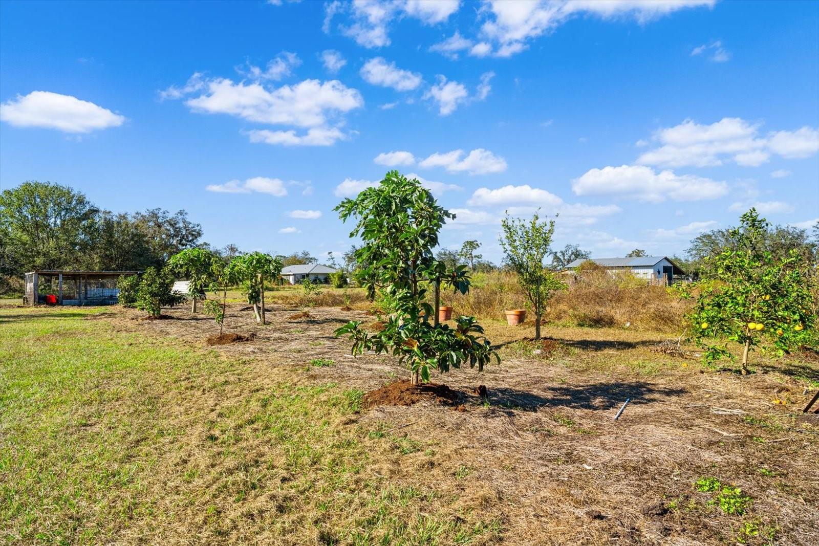 14900 COKER GULLY RD, MYAKKA CITY, FL, 34251