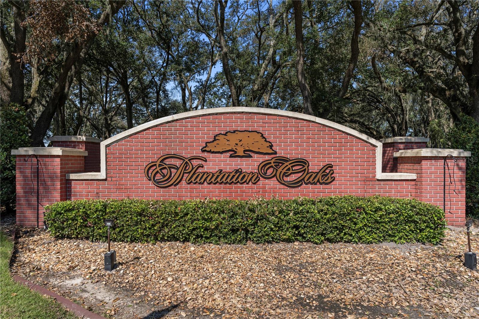 3927 SHADY MEADOW DR, PLANT CITY, FL, 33567
