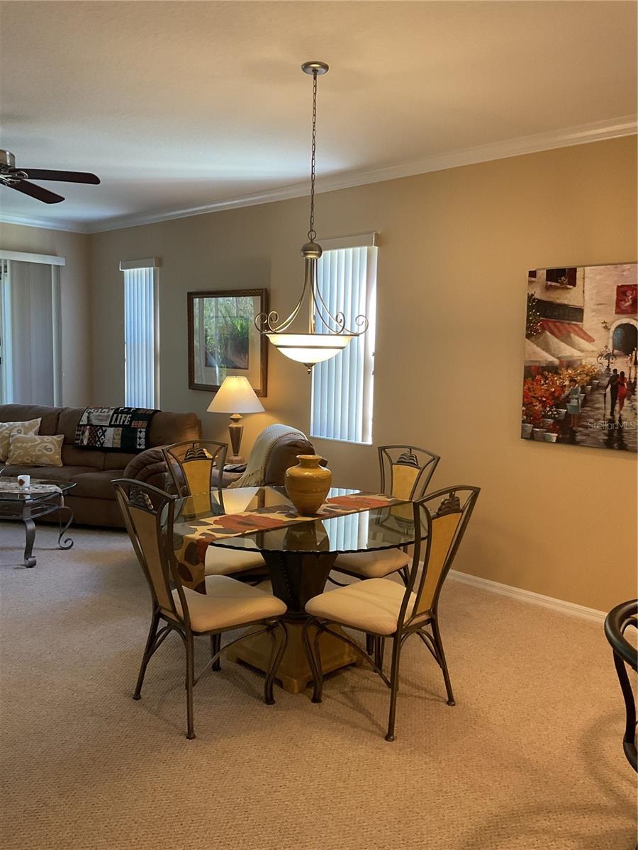 7221 CLEOPATRA DR, LAND O LAKES, FL, 34637