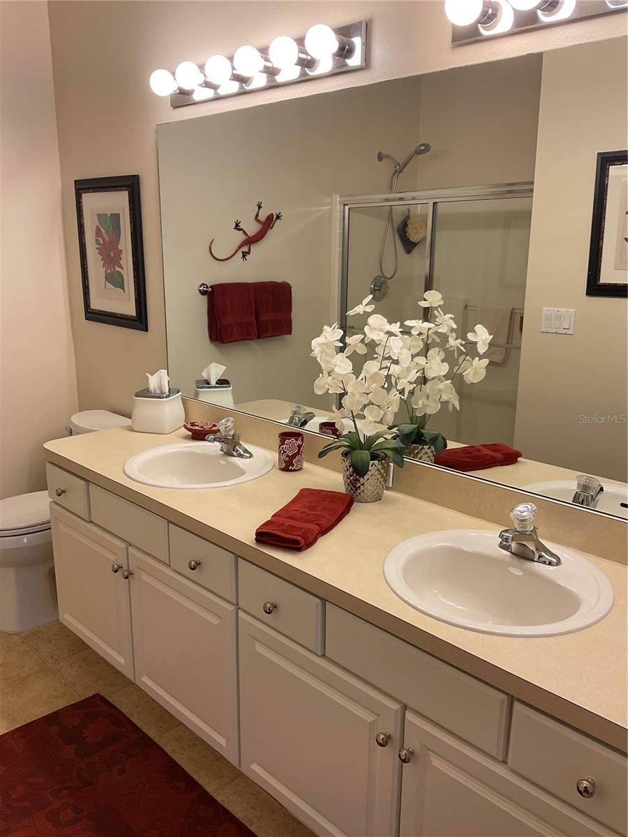 7221 CLEOPATRA DR, LAND O LAKES, FL, 34637
