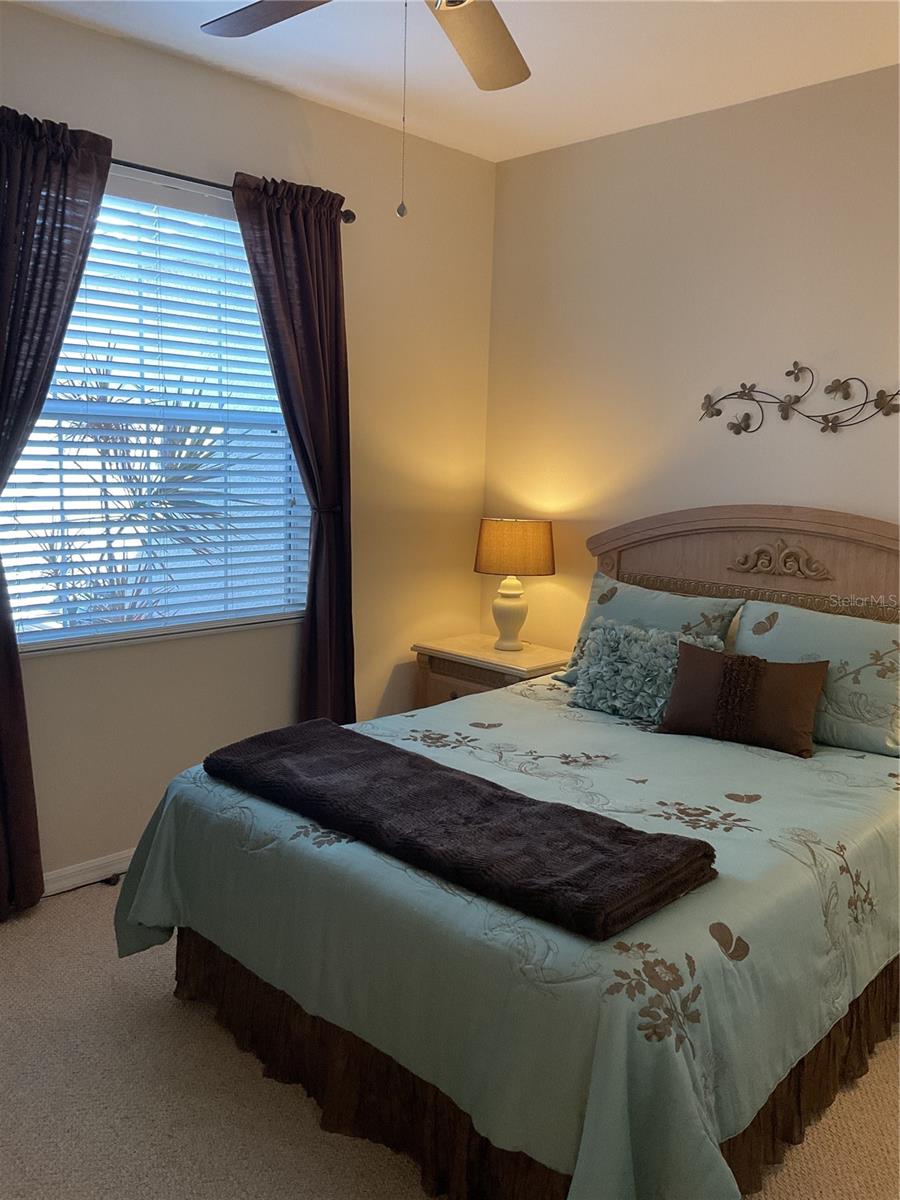 7221 CLEOPATRA DR, LAND O LAKES, FL, 34637