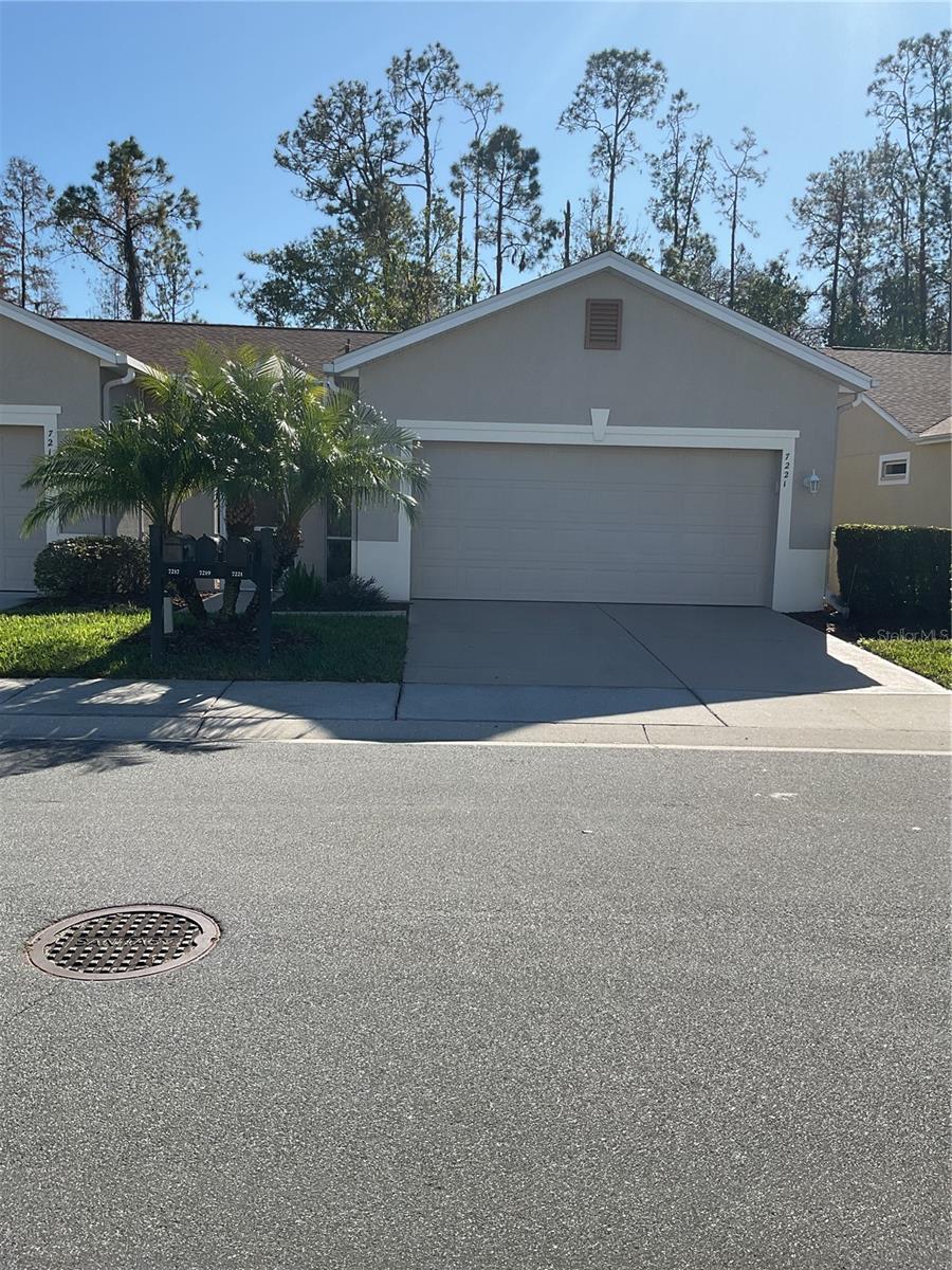 7221 CLEOPATRA DR, LAND O LAKES, FL, 34637