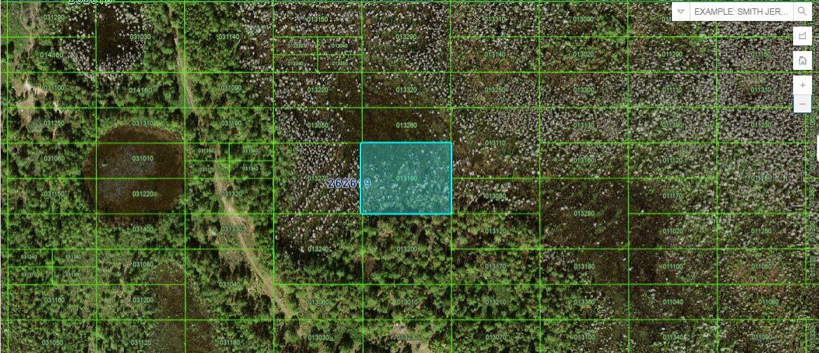 OLD GRADE RD, POLK CITY, FL, 33868