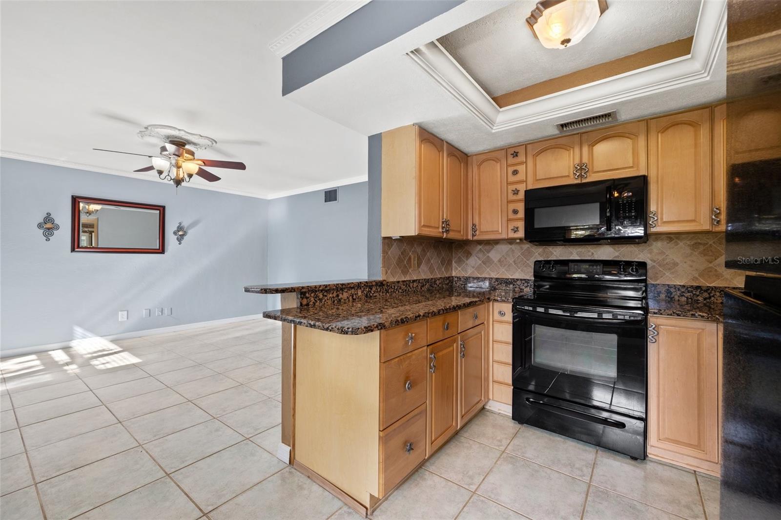 619 GARLAND ST N, ST PETERSBURG, FL, 33703