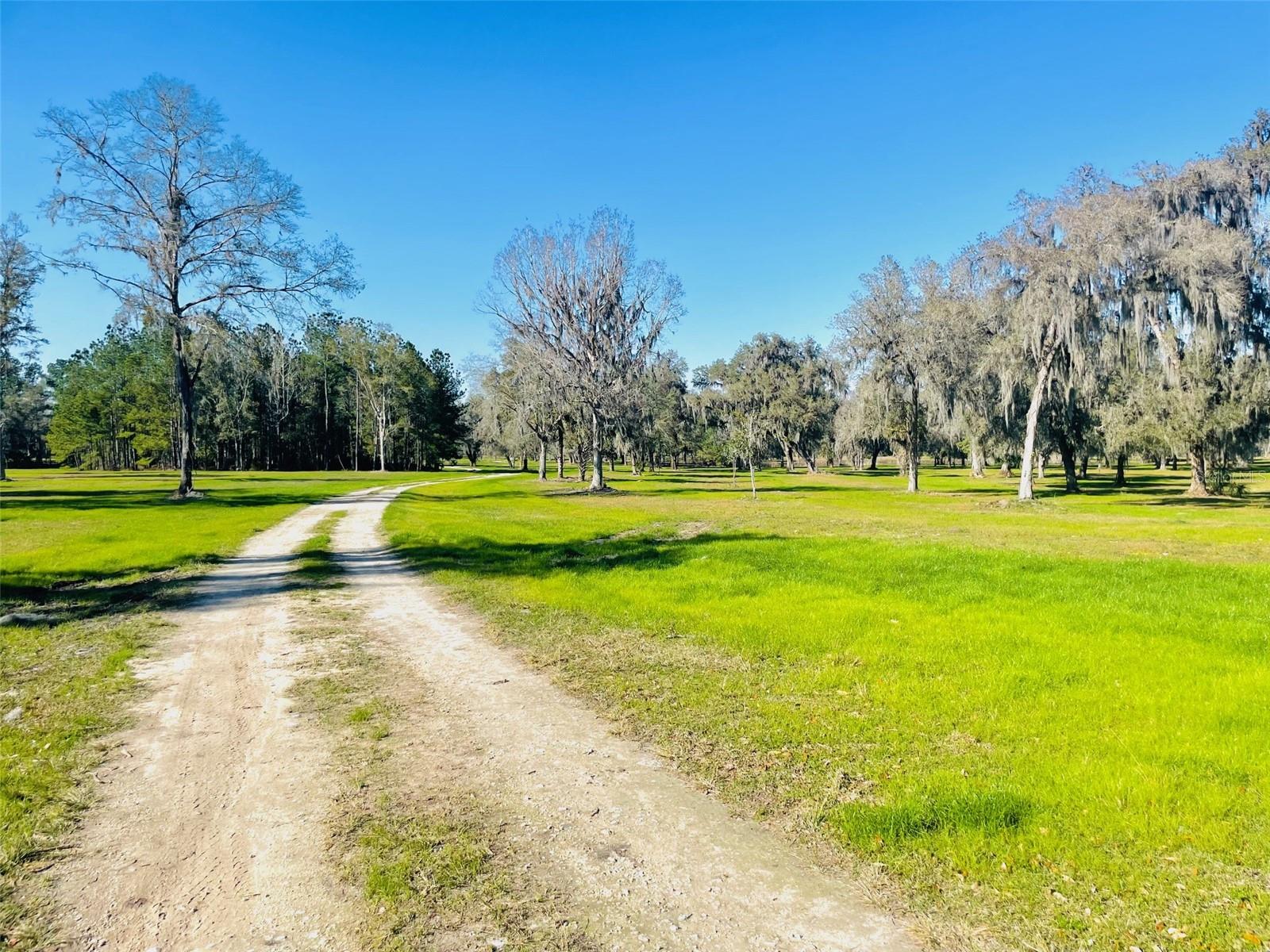 TBD W. HWY 316, REDDICK, FL, 32686