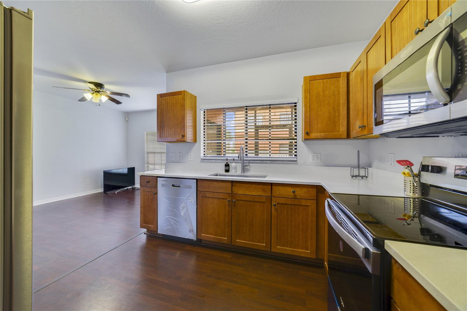 1037 BLACKWATER DR, WESLEY CHAPEL, FL, 33543