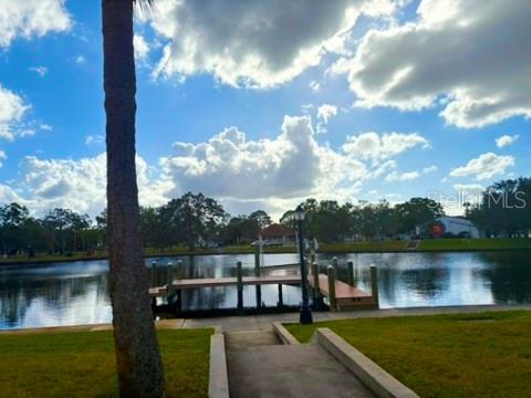 336 SHADDOCK ST, TARPON SPRINGS, FL, 34689