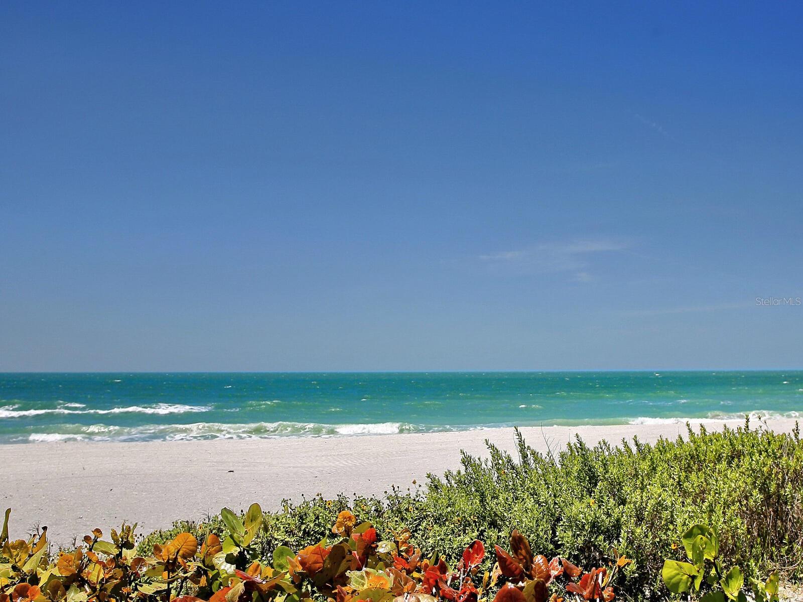 1608 CASEY KEY RD, NOKOMIS, FL, 34275