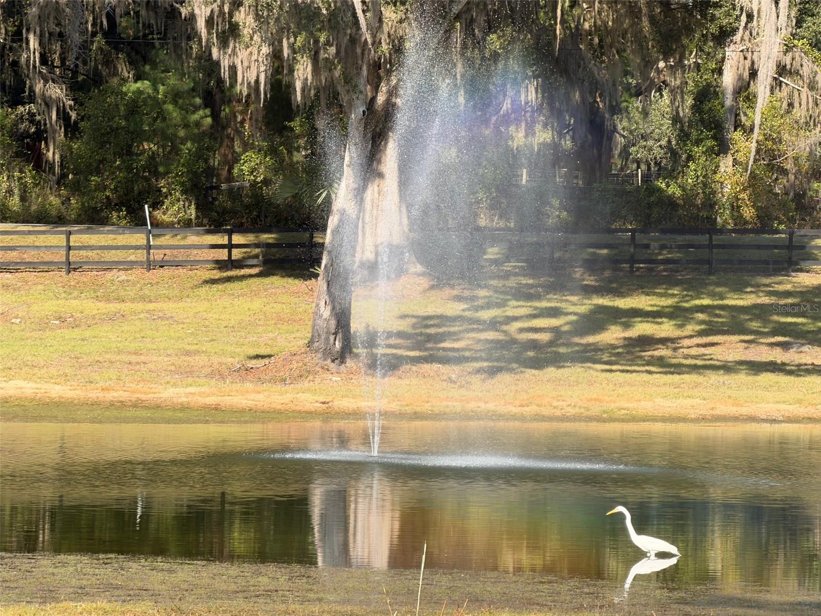 TBD NW 160TH STREET, REDDICK, FL, 32686