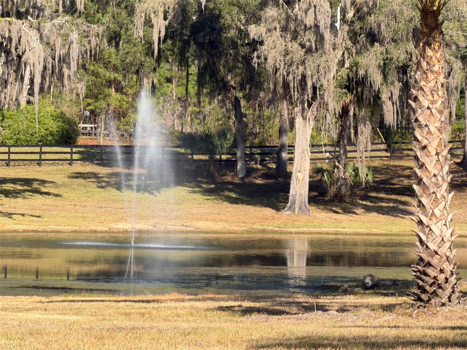 TBD NW 160TH STREET, REDDICK, FL, 32686