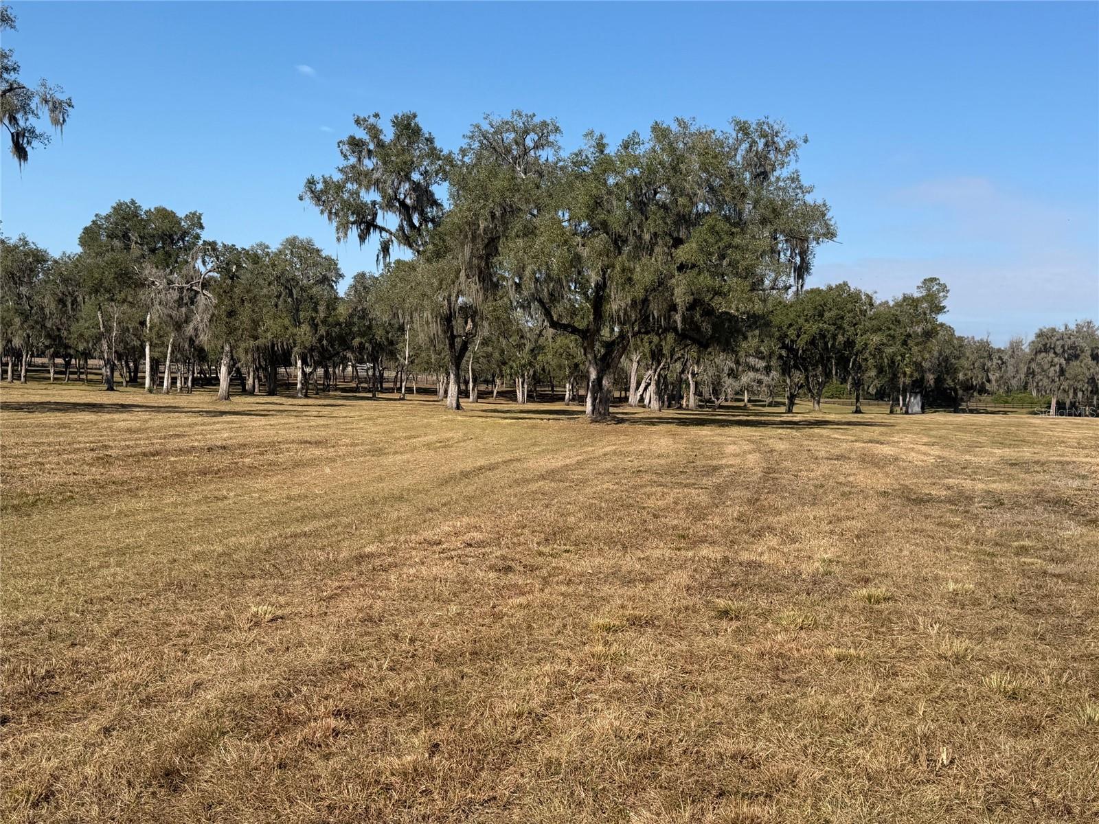 TBD NW 160TH STREET, REDDICK, FL, 32686