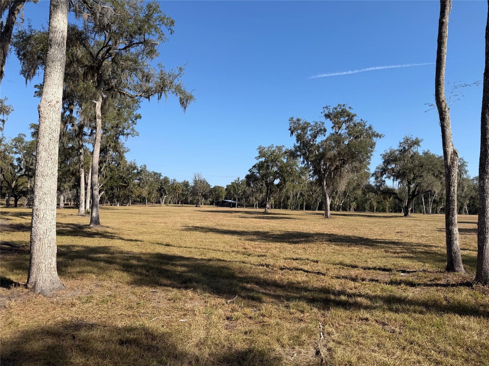 TBD NW 160TH STREET, REDDICK, FL, 32686