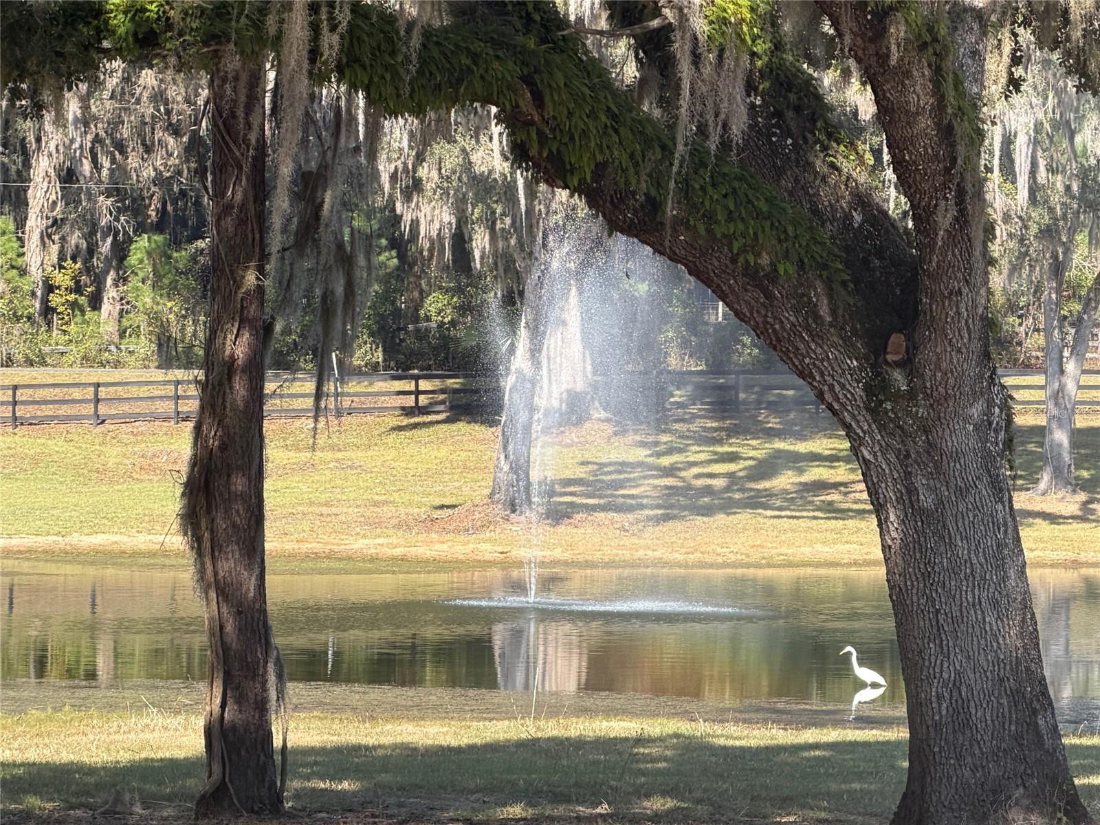 TBD NW 160TH STREET, REDDICK, FL, 32686