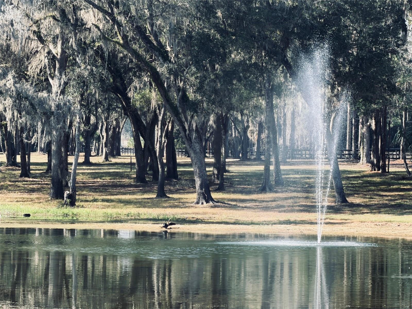 TBD NW 160TH STREET, REDDICK, FL, 32686