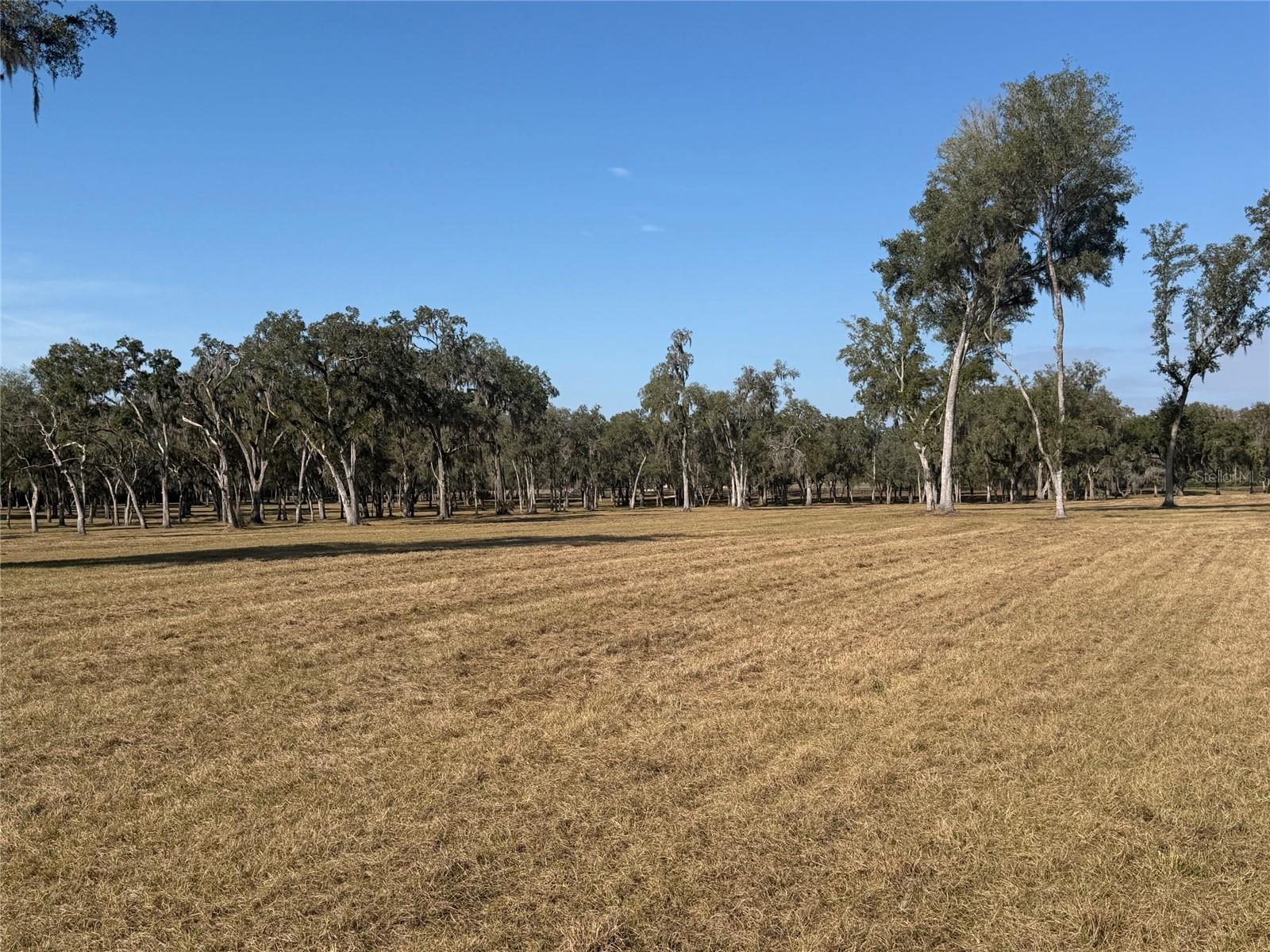 TBD NW 160TH STREET, REDDICK, FL, 32686