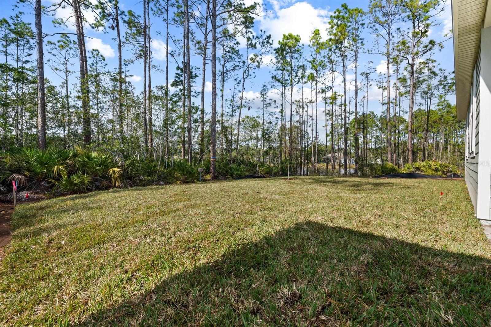 31 WANDERING CREEK WAY, PALM COAST, FL, 32164