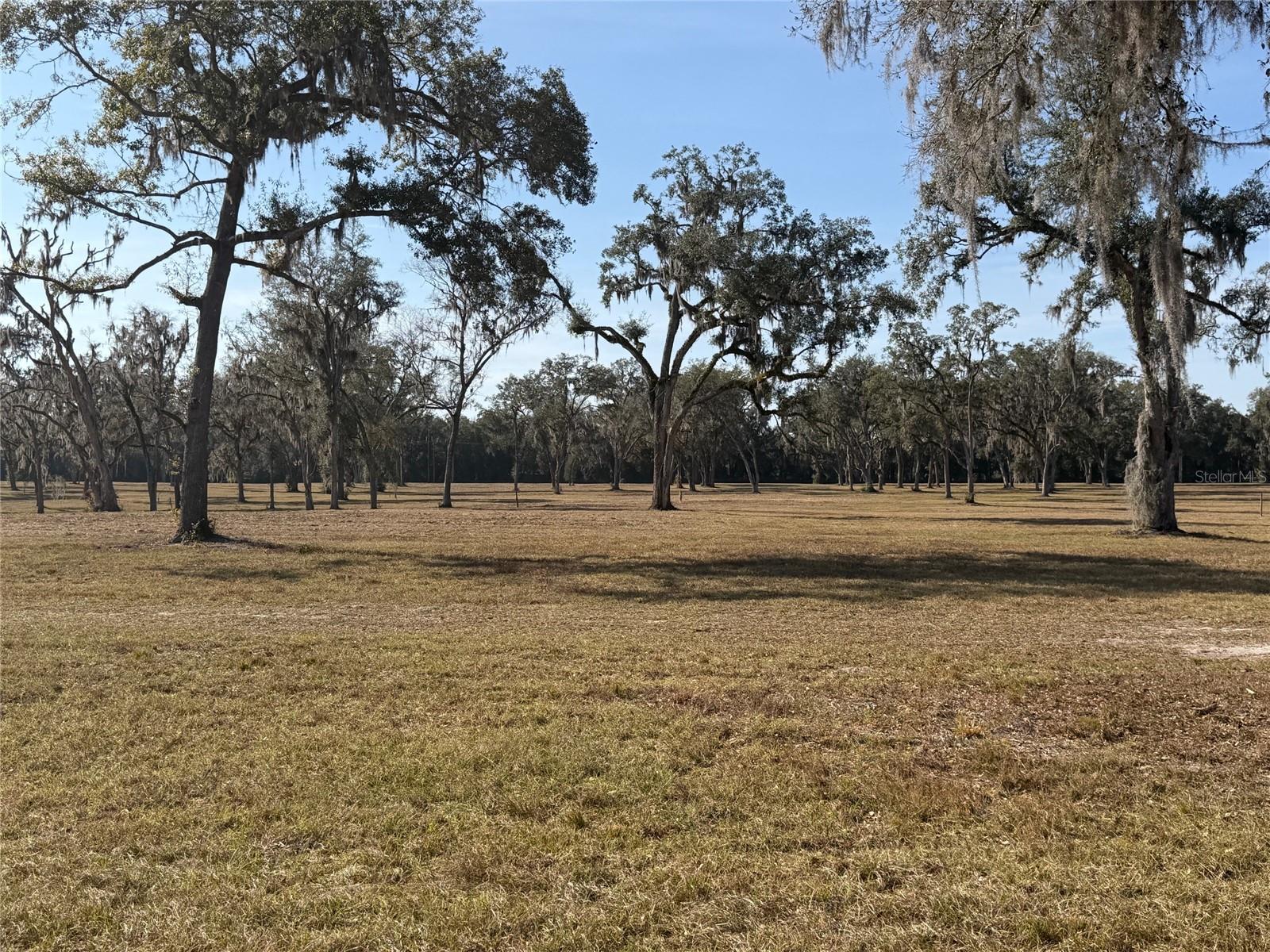 TBD NW 160TH STREET, REDDICK, FL, 32686