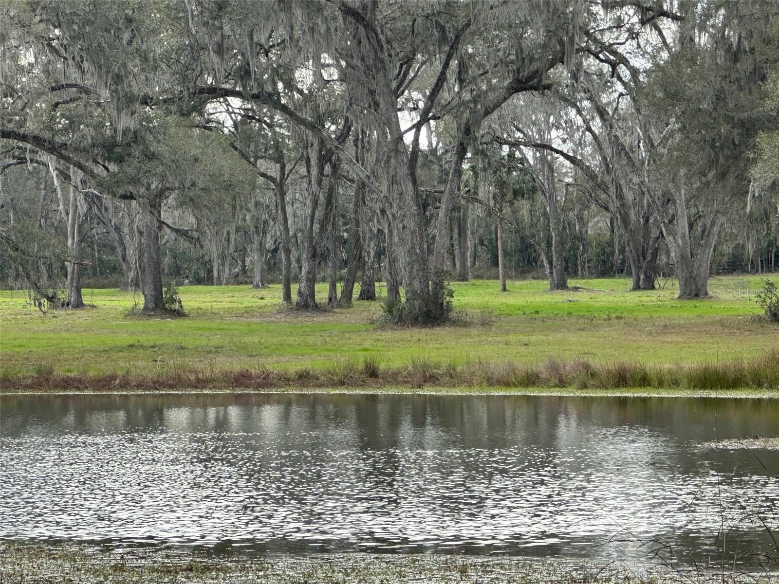 TBD NW 160TH STREET, REDDICK, FL, 32686