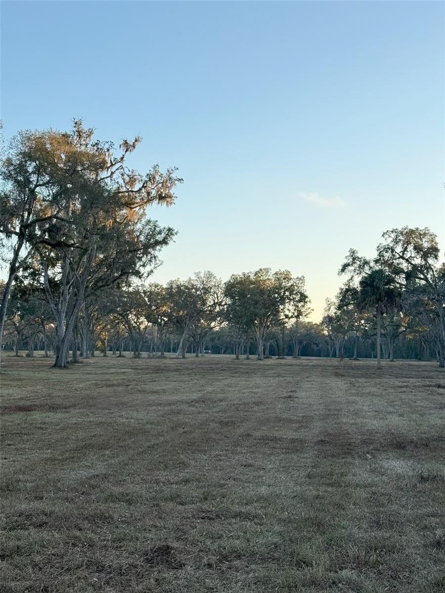 TBD NW 160TH STREET, REDDICK, FL, 32686