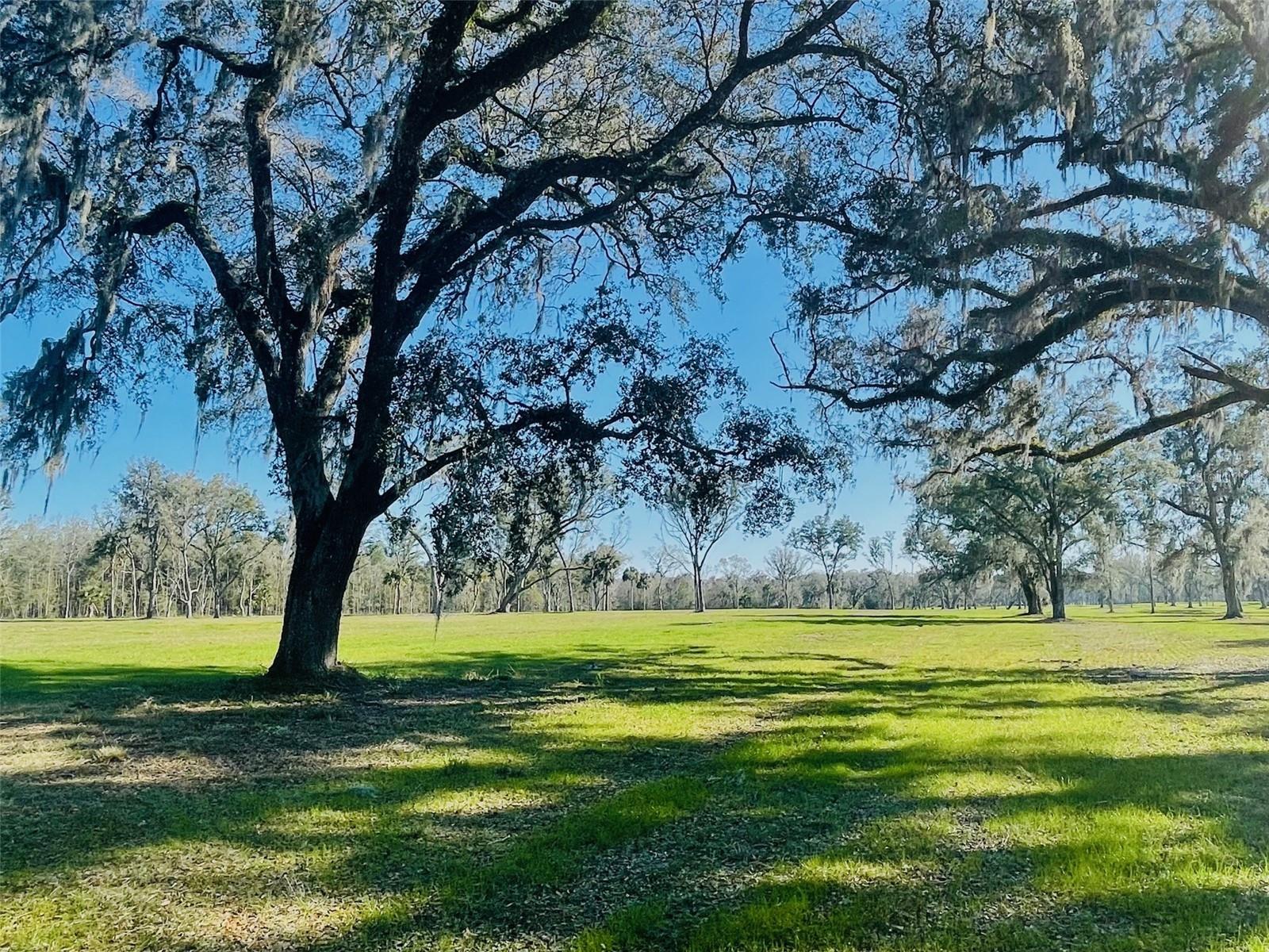 TBD NW 160TH STREET, REDDICK, FL, 32686